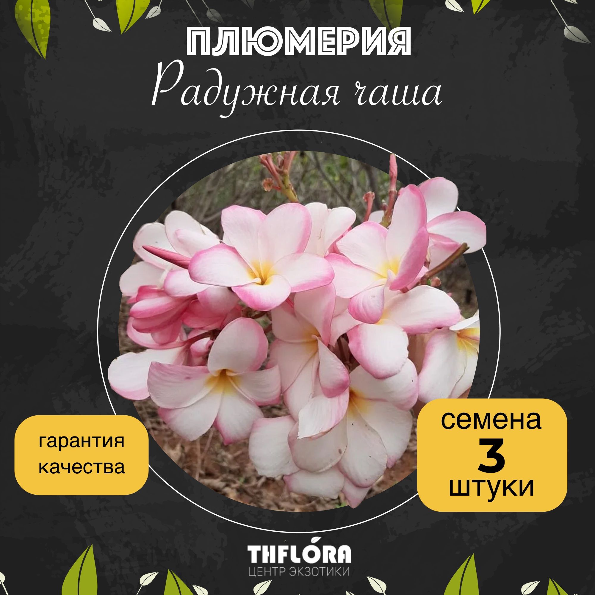 Семена плюмерия Радужная Чаша ТайФлора 1-150-011 1 уп.