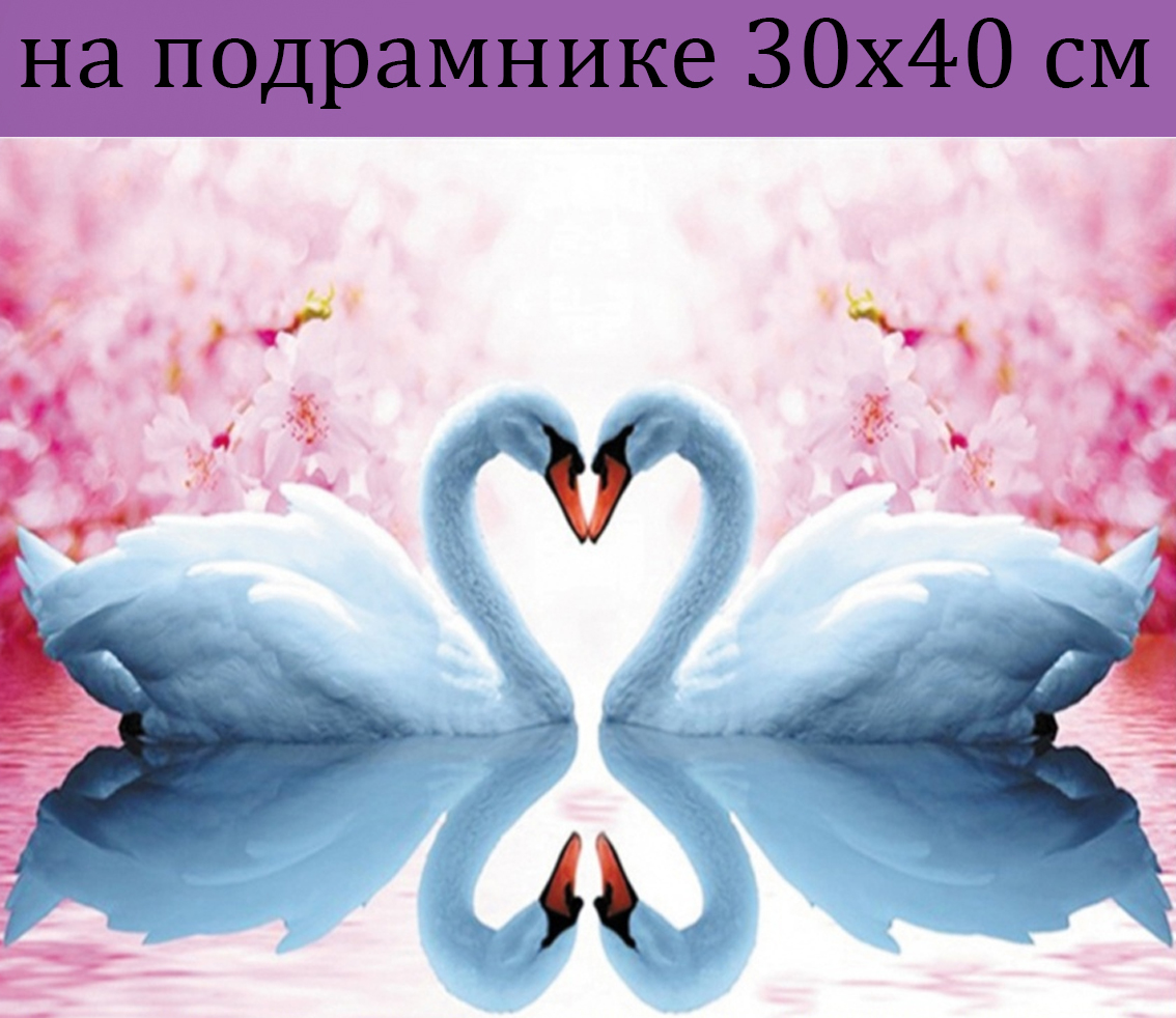 

Алмазная мозаика SGB2813 лебеди белые 30х40 на подрамнике, 30х40