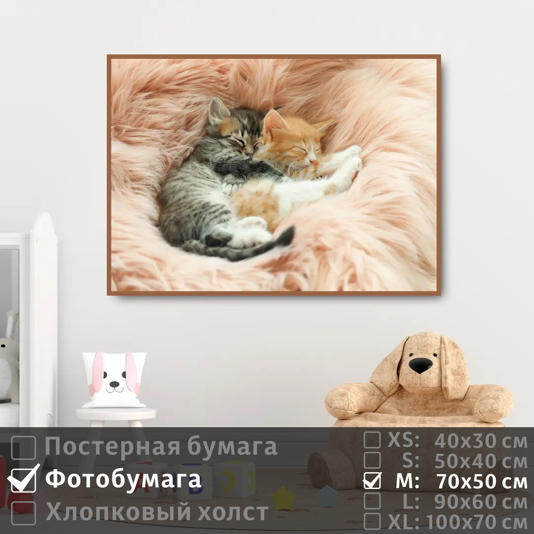 

Постер на фотобумаге ПолиЦентр Дружные котята на отдыхе 70х50 см, ДружныеКотятаНаОтдыхе