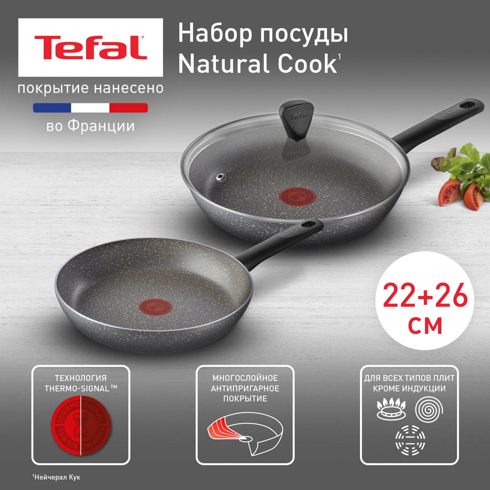 

Набор сковород Tefal Natural Cook 22 см, 26 см с крышкой, Серый, 04234926+04211122