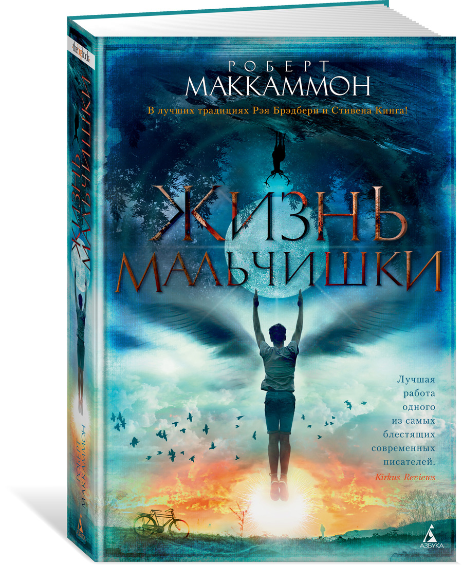 

Жизнь мальчишки