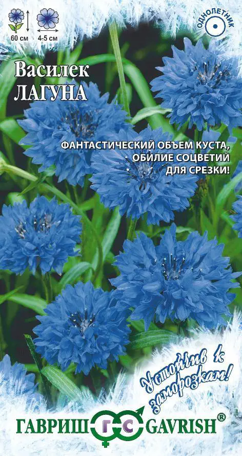 

Семена василек Лагуна SSS-83606916 1 уп.