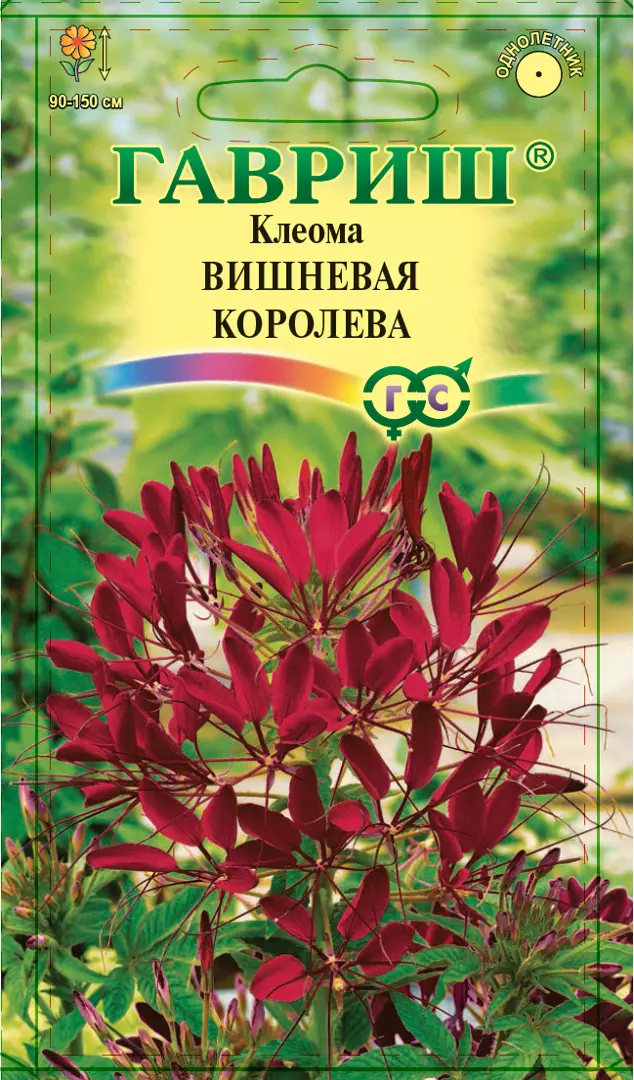 

Семена клеома Радужный SSS-83606927 1 уп.