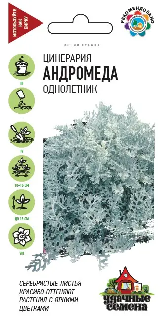 

Семена цинерария Андромеда SSS-83606948 1 уп.
