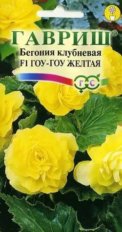 

Клубни бегония Гоу-Гоу F1 SSS-83606959 1 шт.