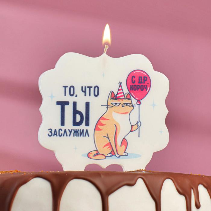 

Свеча для торта «То, что ты заслужил. Кот с шариком», 8 см, Белый