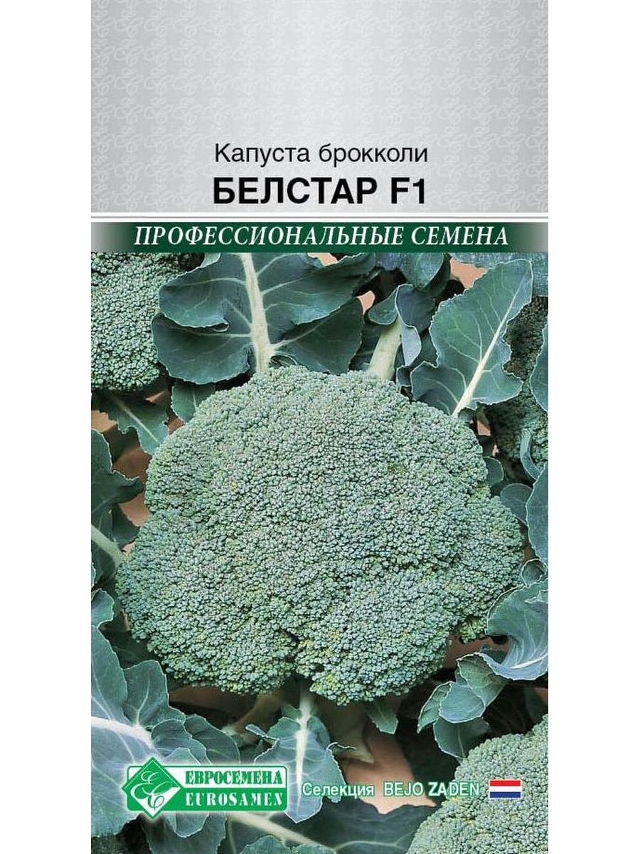 

Семена брокколи Евросемена Белстар 27347 1 уп.