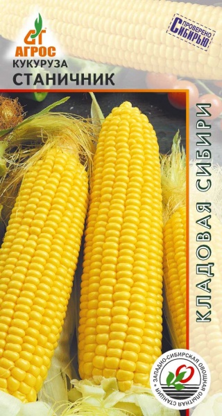 Семена кукуруза Агрос Станичник 27849 1 уп.