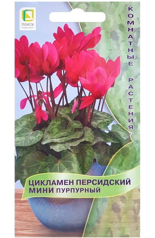 

Семена Цикламен персидский мини пурпурный комнатные 2 шт.