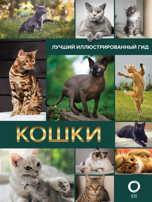 

Кошки. Лучший иллюстрированный гид