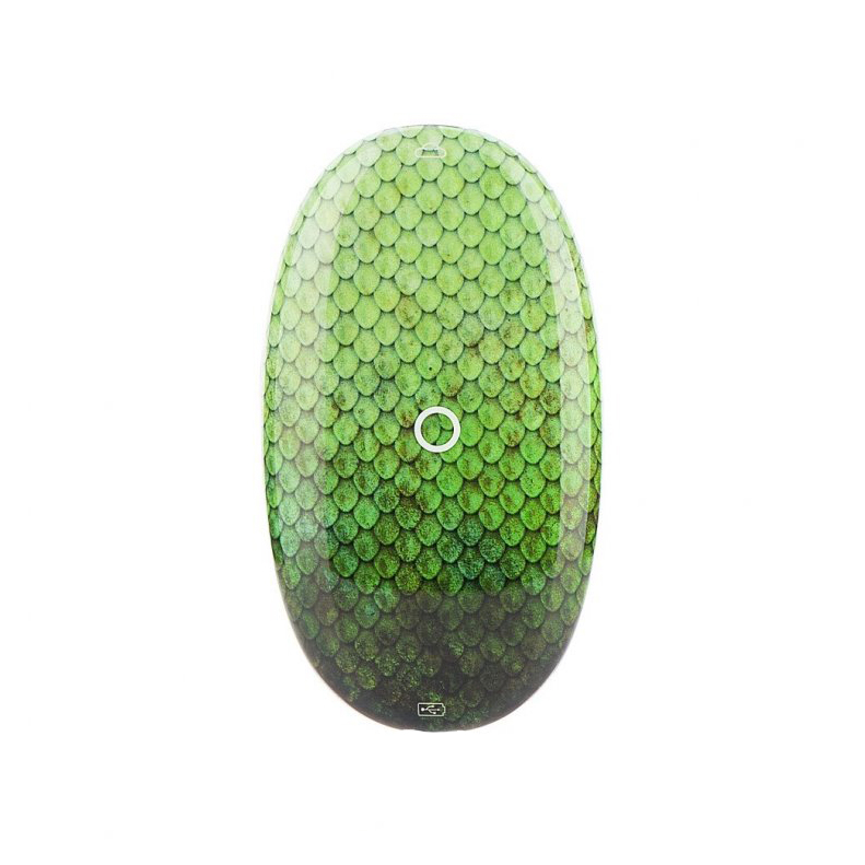 

Dotmod Oncloud Ion с двумя картриджами, Зеленый Dragon Egg