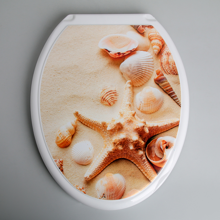 фото Росспласт сиденье для унитаза с крышкой «ракушки на песке», цвет белый