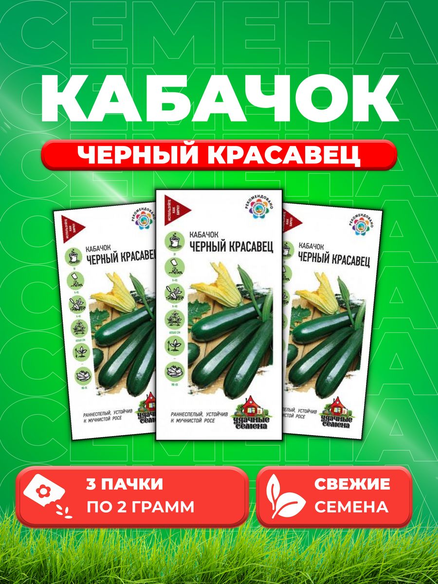 

Семена кабачок Черный красавец Удачные семена 10004068-3 3 уп.