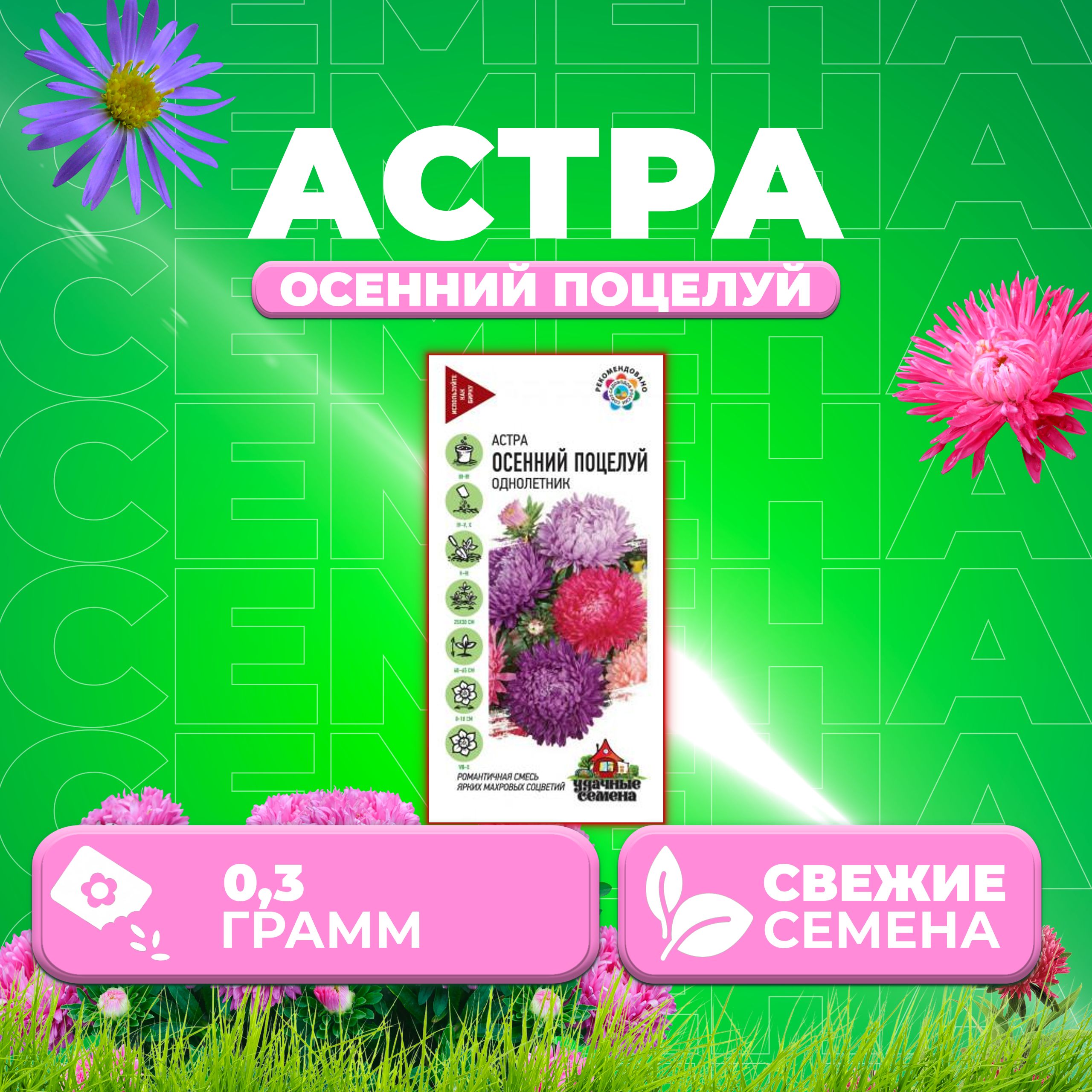 

Семена Астра Осенний поцелуй, смесь, 0,3г, Удачные семена 1 уп