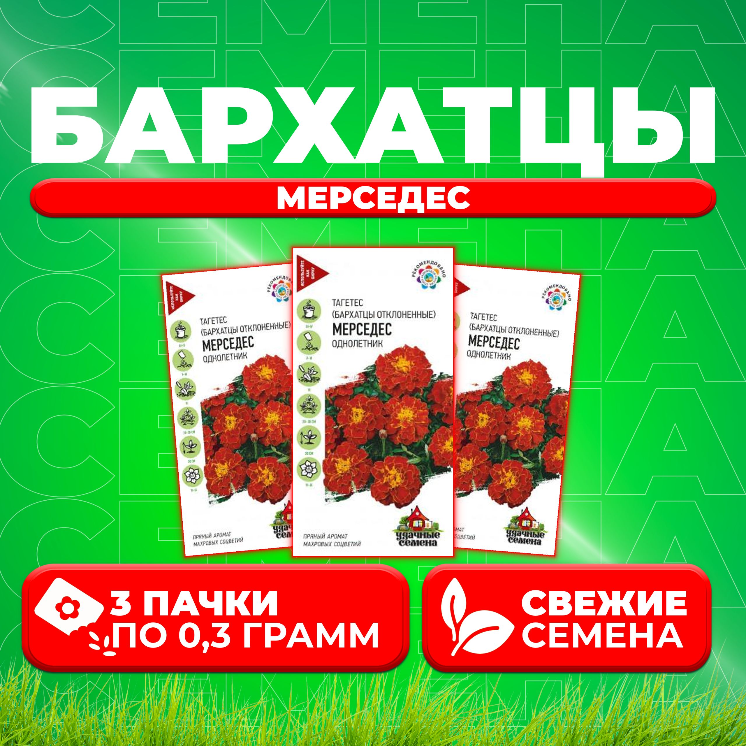 

Семена Бархатцы отклоненные тагетес Мерседес, 0,3г, Удачные семена 3 уп
