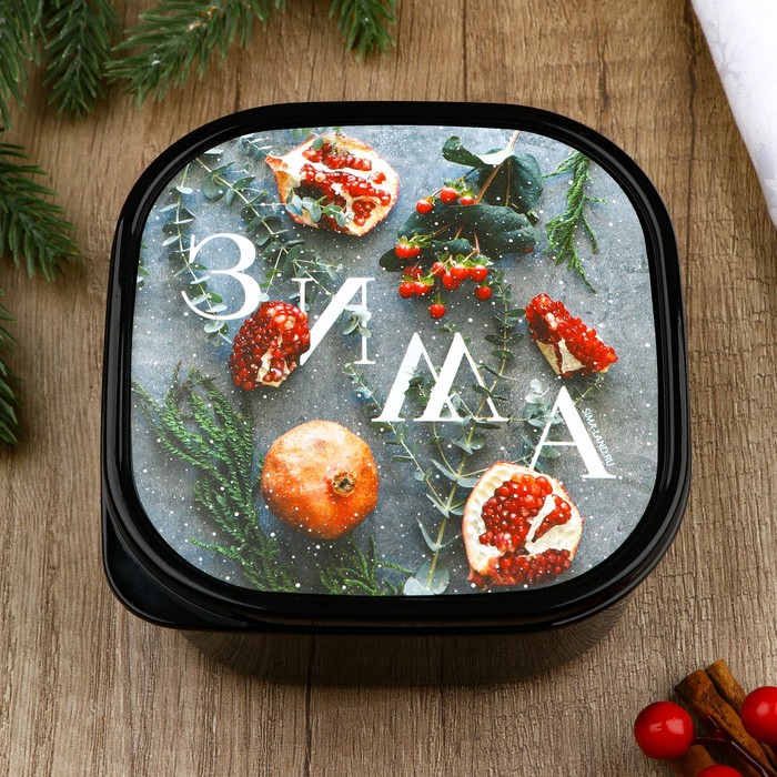 

FoodVibes Ланч-бокс «Зима», 700 мл