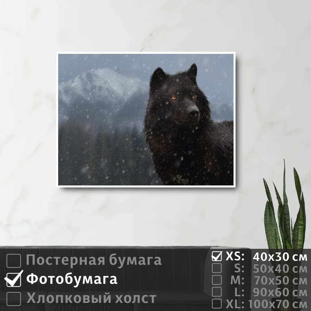 

Постер на фотобумаге ПолиЦентр Черный волк с желтыми глазами 40х30 см, ЧерныйВолкСЖелтымиГлазами
