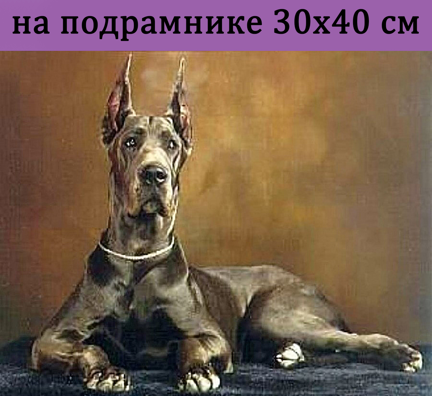 

Алмазная мозаика ZX11135 дог 30х40 на подрамнике, 30х40