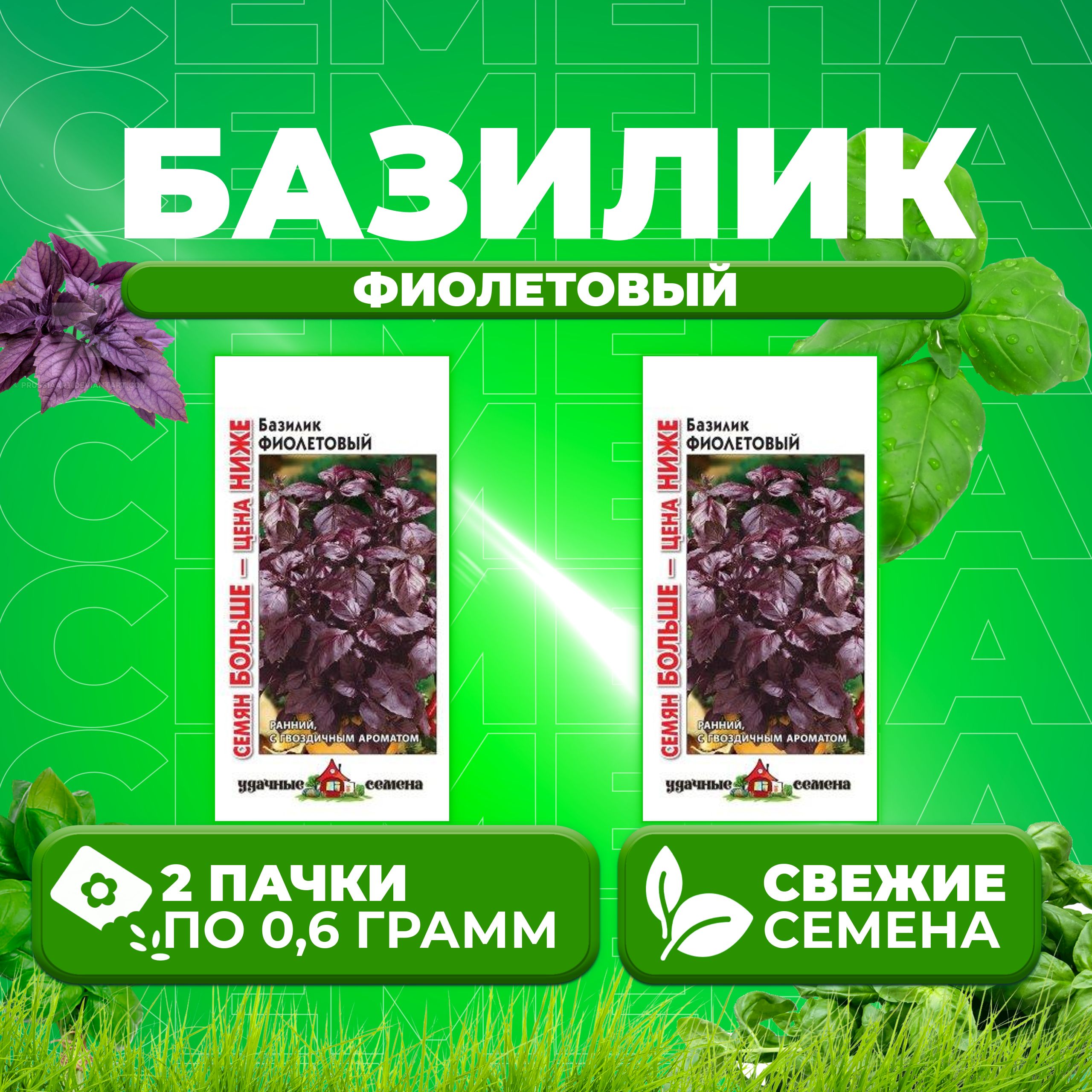 

Семена Базилик Фиолетовый, 0,6г, Удачные семена, Семян больше 2 уп