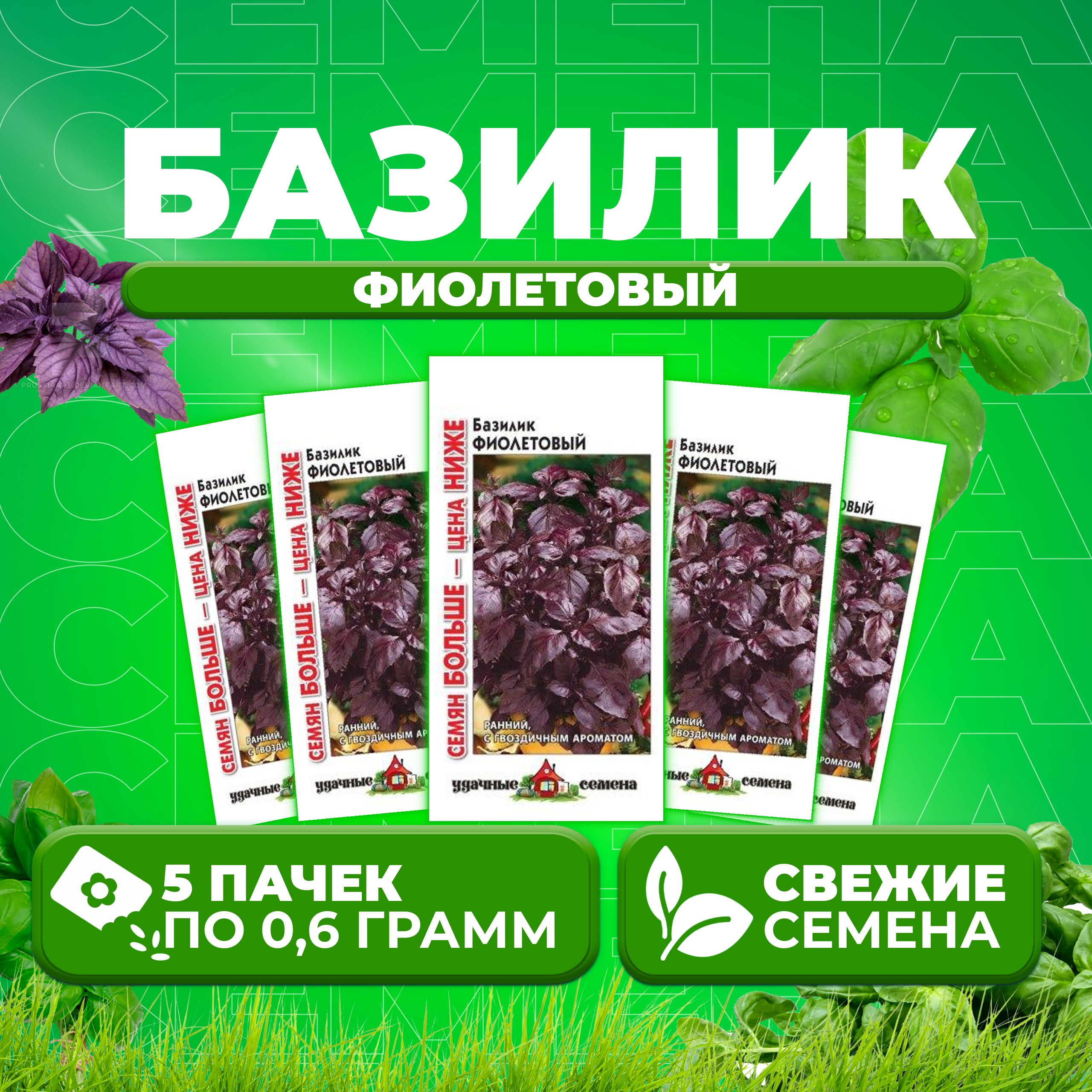 

Семена Базилик Фиолетовый, 0,6г, Удачные семена, Семян больше 5 уп
