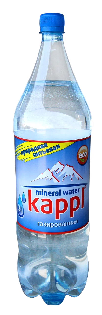 

Вода природная минеральная Kappl негазированная столовая 2 л