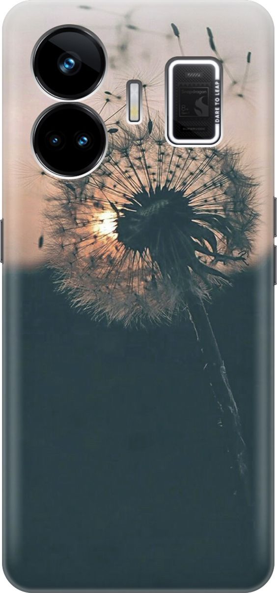 

Чехол на Realme GT Neo 5 "Одуванчик на закате", Серый;черный, 158675