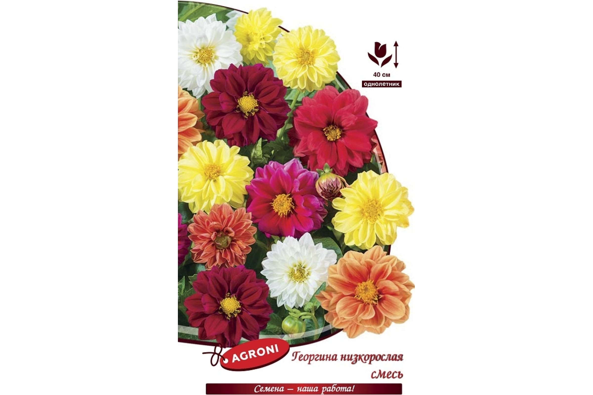 

Семена георгин Агрони Низкорослая смесь 7897 1 уп.