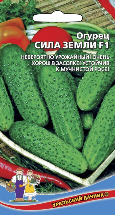 

Семена огурец Уральский дачник Сила земли 26892 1 уп.