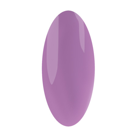 

Лак для ногтей IRISK professional Nail Polish (016), Сиреневый, IR-25012002