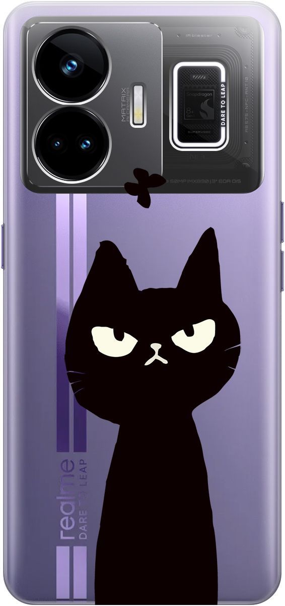 

Чехол на Realme GT Neo 5 "Disgruntled Cat" прозрачный, Прозрачный;черный, 158682