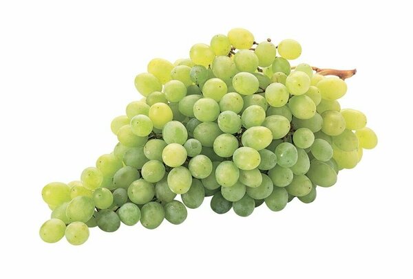 

Виноград Кишмиш