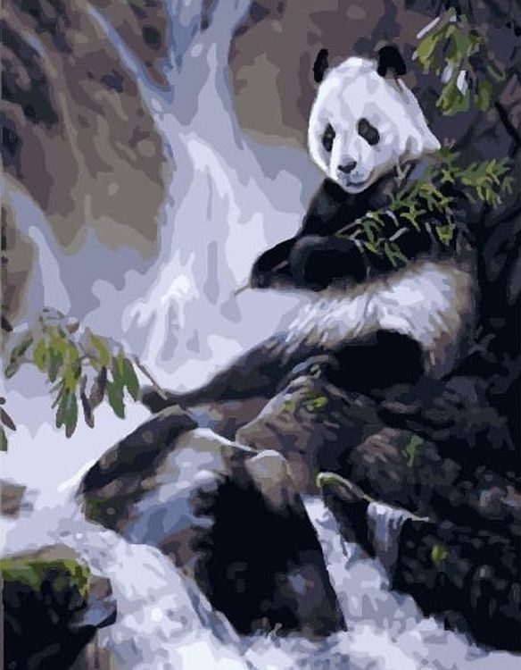 

Картина по номерам Paintboy Панда, 30x40, Панда