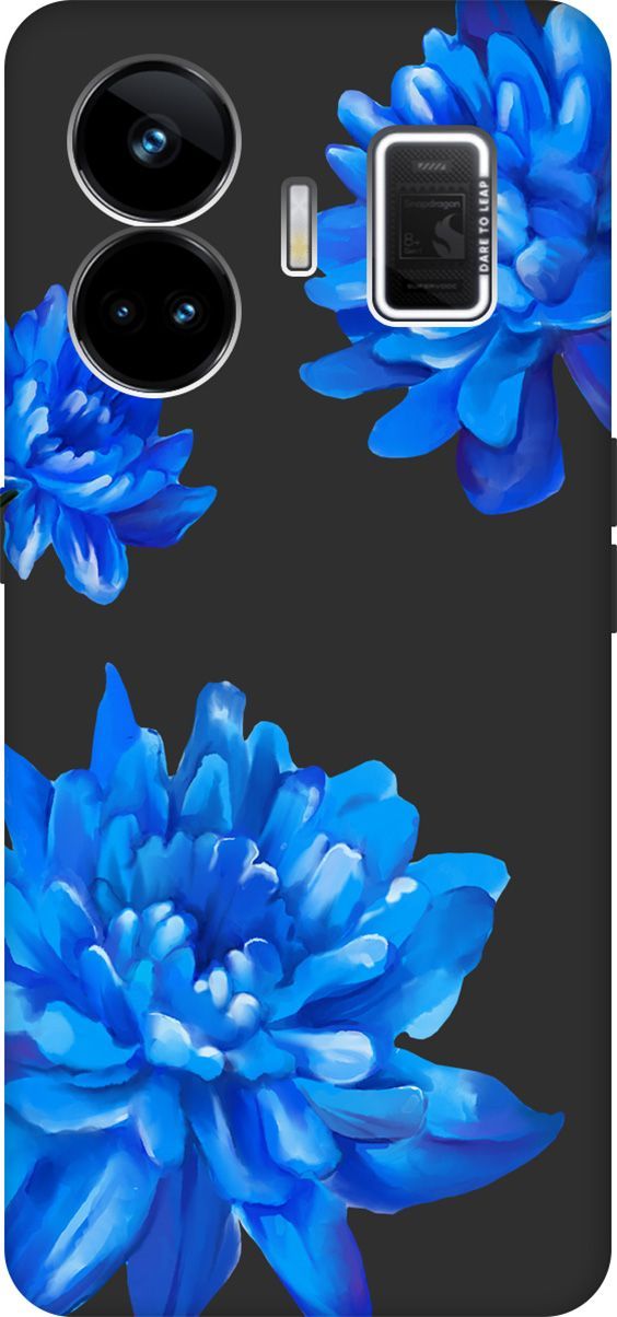 

Чехол на Realme GT Neo 5 "Amazing Asters" черный, Черный;голубой, 158686