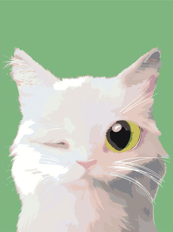 

Картина по номерам Живопись по Номерам Весельчак, 30x40, Весельчак