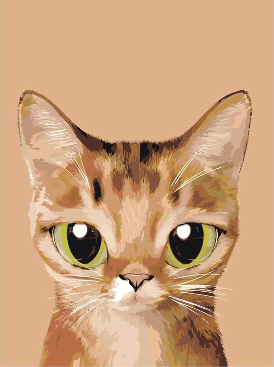 

Картина по номерам Живопись по Номерам Лапочка, 30x40, Лапочка