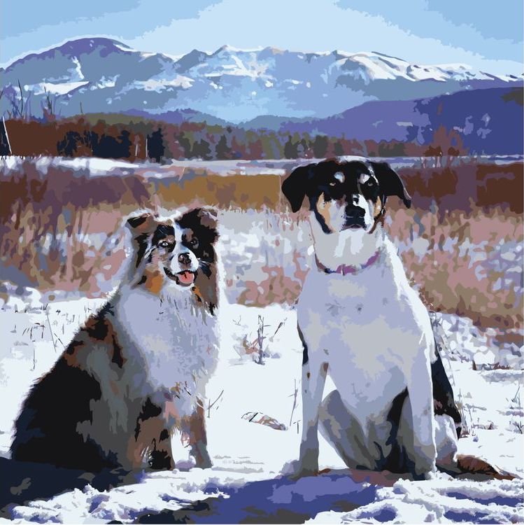 

Картина по номерам Живопись по Номерам Две собаки, 40x40, Две собаки