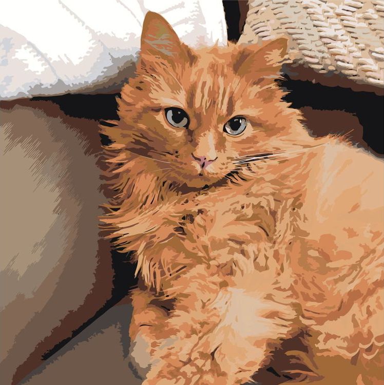 

Картина по номерам Живопись по Номерам Рыжий кот, 40x40, Рыжий кот