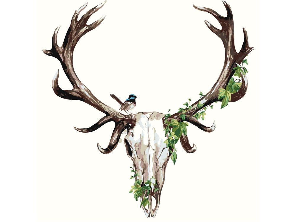 

Картина по номерам Живопись по Номерам Череп, 40x40, Череп