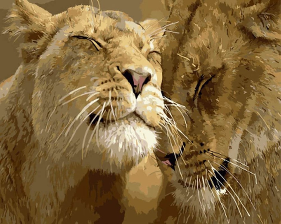 

Картина по номерам Цветной Львиная семья, 30x40, Львиная семья