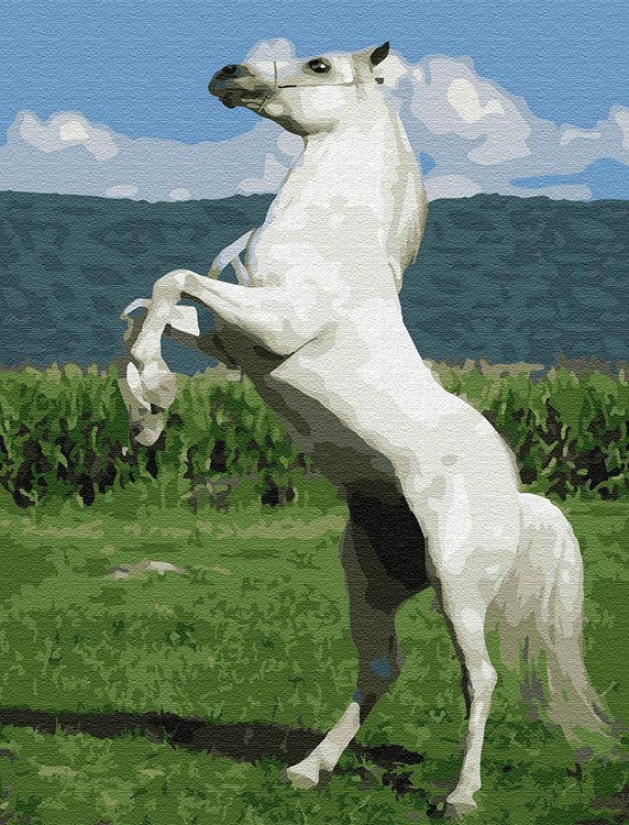 

Картина по номерам Molly Белый конь, 30x40, Белый конь