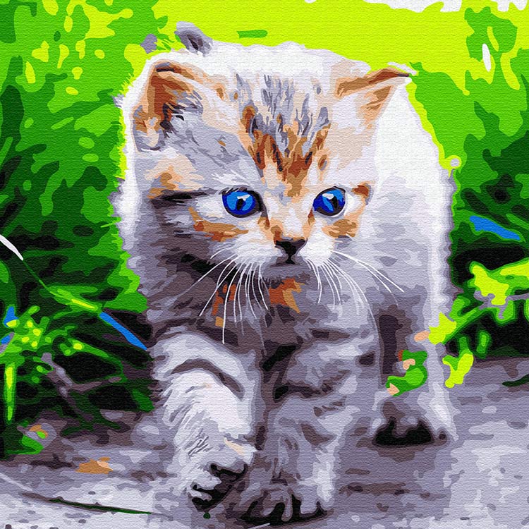 

Картина по номерам Molly Голубоглазое чудо, 30x30, Голубоглазое чудо