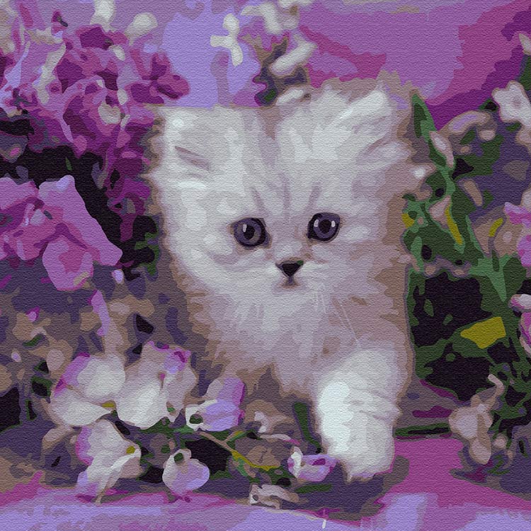Картина по номерам Molly Котенок в сиреневых цветах, 30x30