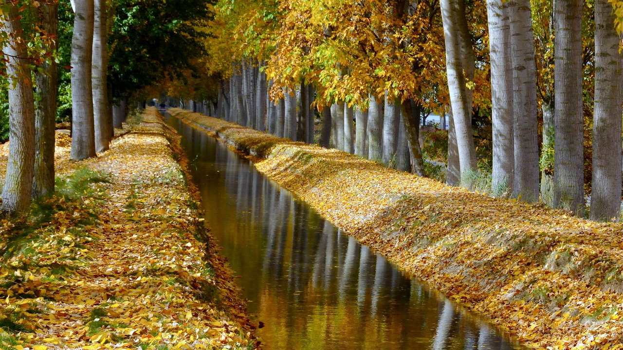 

Картина на холсте 60x110 LinxOne "Природа, пейзаж, натура, флора