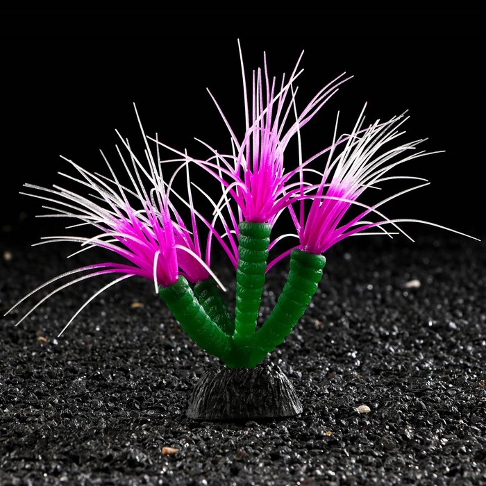 

Декор для аквариума Coral Plant силиконовое, светящееся в темноте, 14 х 17 см, фиолетовый