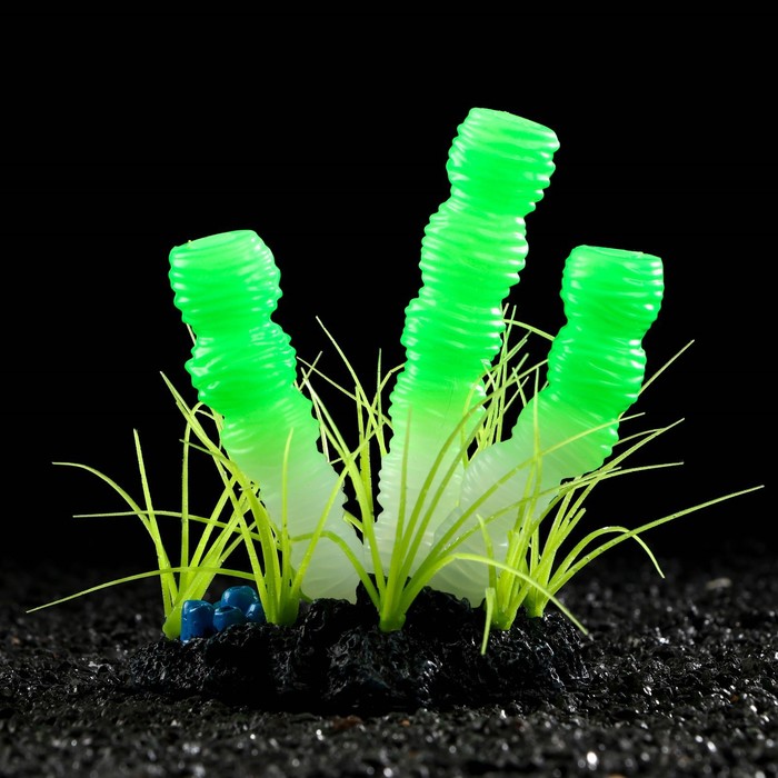 

Декор для аквариума Столбовой коралл силиконовый, светится в темноте, 9,5 х 12 см, зелёный, Зеленый