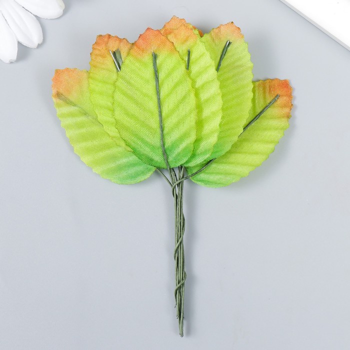 

Декор для творчества "Лист березы" осенний (1 набор=1 букету) в букете 10 шт (20 набор), Зеленый