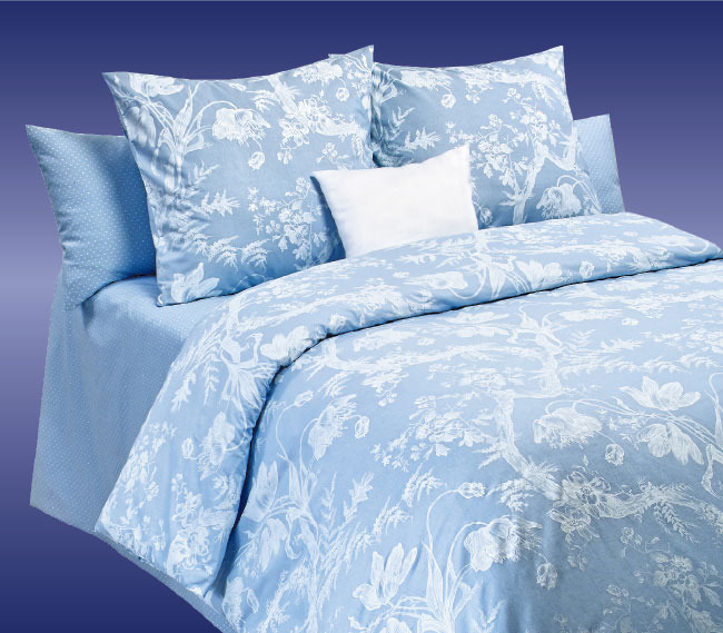 

Постельное белье Cotton Dreams Komo Blue, 70x70 (евро)