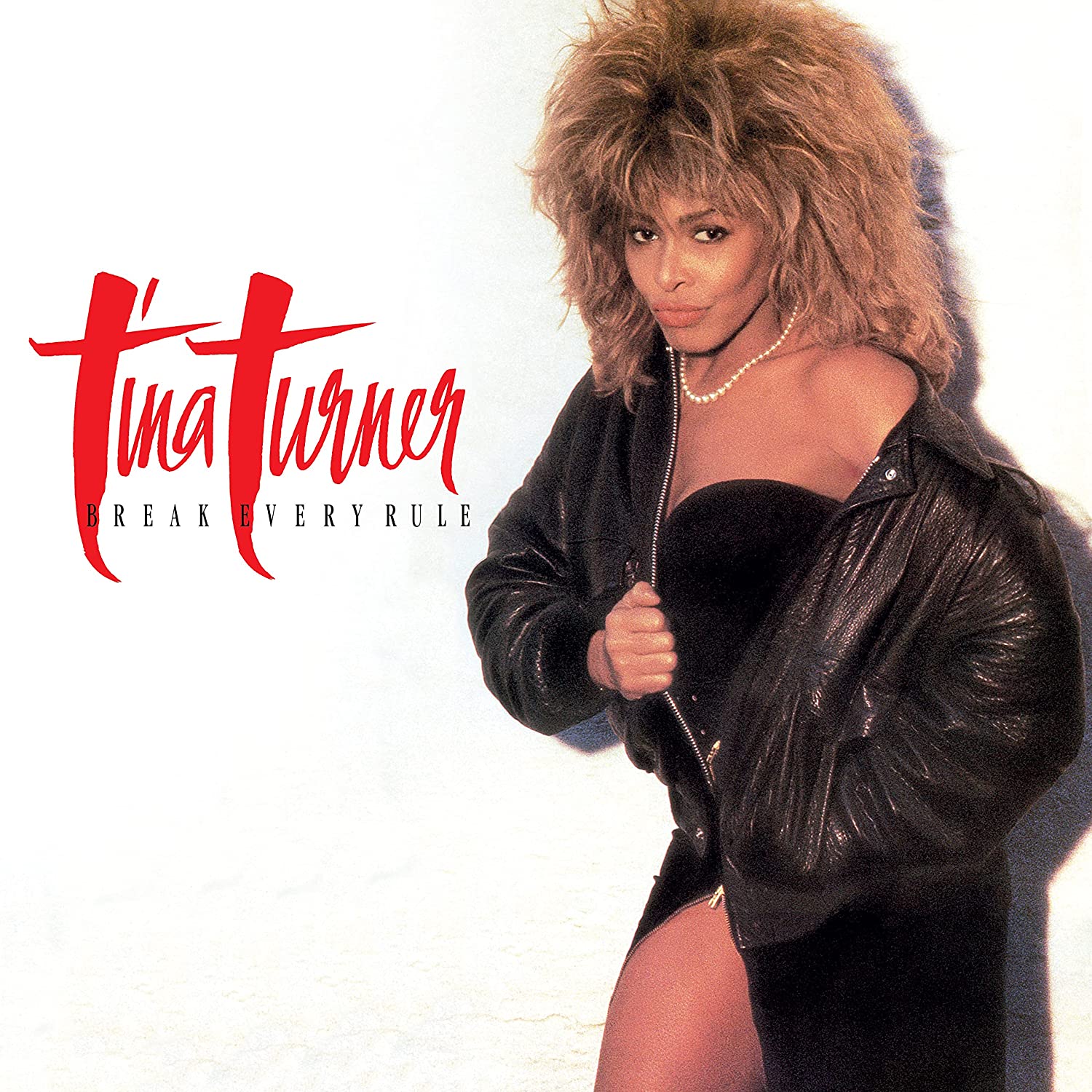 

Tina Turner Break Every Rule (2CD)