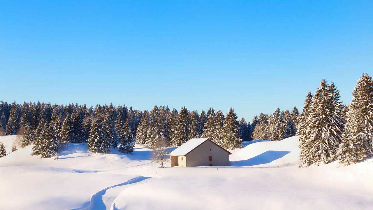 

Картина на холсте 60x110 LinxOne "Природа, пейзаж, натура, флора