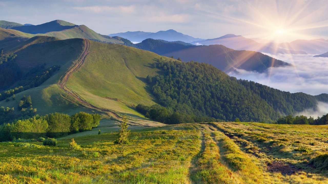 

Картина на холсте 60x110 LinxOne "Природа, пейзаж, натура, флора